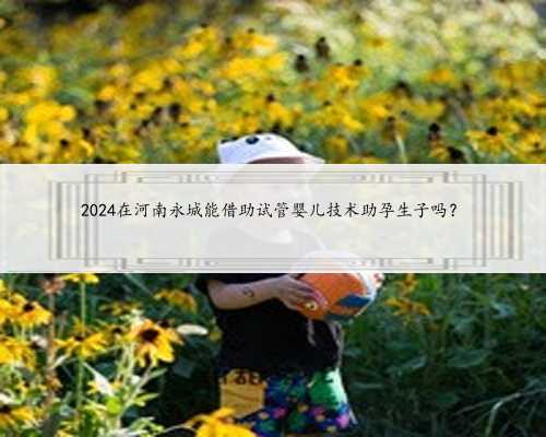 2024在河南永城能借助试管婴儿技术助孕生子吗？
